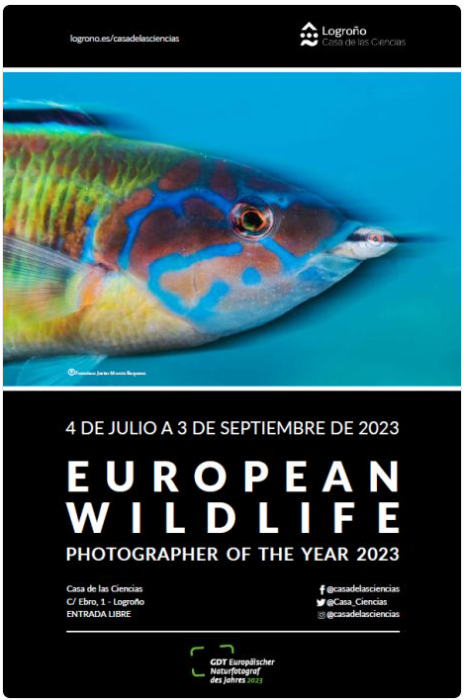 European wildlife photographer of the year 2023